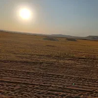 کاه نرم