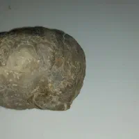 سنگ فصیل|کلکسیون اشیاء عتیقه|کمیجان, |دیوار