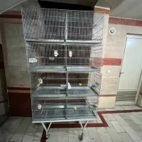 قفس پرون ۴طبقه غلامی