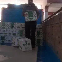 خیارشور|عمدهفروشی|کرج, عظیمیه|دیوار