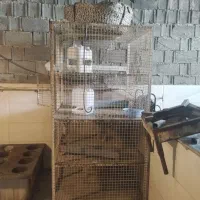 فروش کلیه وسایل کامل مرغ فروشی|فروشگاه و مغازه|کازرون, |دیوار