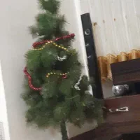 درخت کریسمی