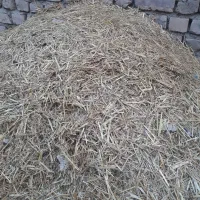 کاه برا کاه گل