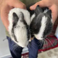 سرگرمی وفراغت