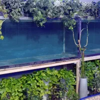 آکواریوم ۲متری|ماهی|اصفهان, سنجوانمره|دیوار