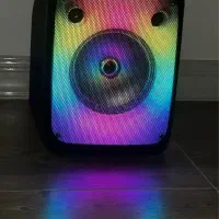 اسپیکر باکس پارتی وحشی