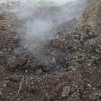 کود حیوانی برای  و درخت کاری|خدمات باغبانی و درختکاری|اندیمشک, |دیوار