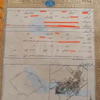 زمین کشاورزی