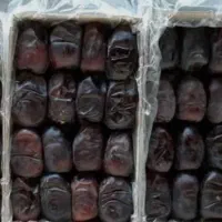 خرما مضافتی درجه یک جنوب