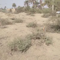 زمین به فروش میرسد در خیر آباد بمپور جاده نوسازه