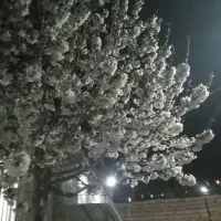 .نصب ایزوگام .کندن چاه