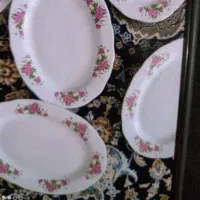 ۳ عدد دیس گل سرخ فروش فوری