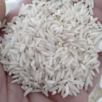 برنج طارم هاشمی|خوردنی و آشامیدنی|سمنان, |دیوار