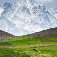 طبیعت گردی