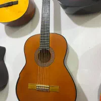 گیتار دیاموند با رنگبندی متنوع|گیتار، بیس، امپلیفایر|گنبد کاووس, |دیوار