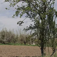 زمین برای خانه باغ رو جاده اصلی