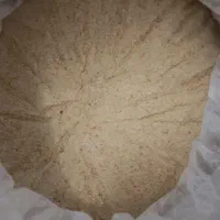 قناری، فنج، عروس، کوتوله، مرغ عشق|لوازم جانبی حیوانات|آران و بیدگل, |دیوار