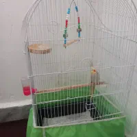 قفس کاسکو ومعمولی|لوازم جانبی حیوانات|رشت, پیرکلاچای|دیوار