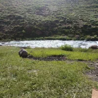 طبیعت گردی..‌