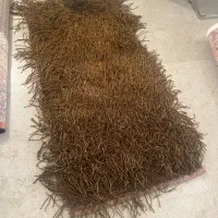 کناره رشته ای