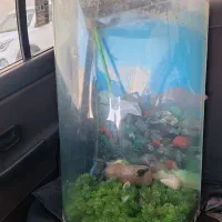 آکواریوم شیشه خم