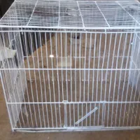 قفس پرنده|لوازم جانبی حیوانات|اهواز, حصیرآباد|دیوار