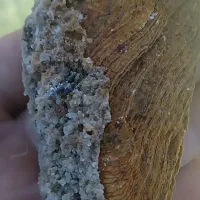 کسی میدونی این سنگ چیه|جواهرات|خوی, |دیوار