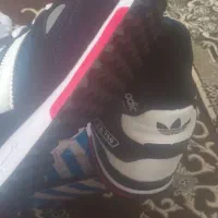 کفش zx750|کیف، کفش، کمربند|مرند, |دیوار