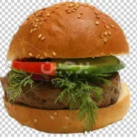 نیازمند نیروی خانوم جهت کار در ساندویچی