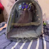 کیف پرنده