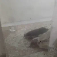 آینه قدی بدون قاب