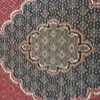 فرش ۱۲متری در حد نو|فرش|بهار, |دیوار