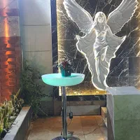 باغچه نقلی ۲۷۷ متری چسب بافت سند تکبرگ ریشه دار