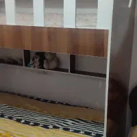 تخت|تخت و سرویس خواب|شاهین‌شهر, مسکن مهر|دیوار