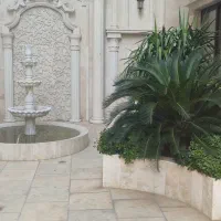 فروش-باغ-قصردشت-5-000-متر-سن-شش-دانگ