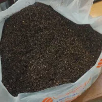 چای ایرانی لاهیجان|خوردنی و آشامیدنی|قم, باجک یک|دیوار