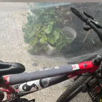 دوچرخه|دوچرخه، اسکیت، اسکوتر|رشت, شهرک صبا|دیوار