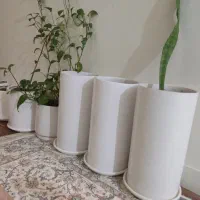 گلدان سرامیکی با خاک گلخانه ای ، زیر گلدانی|گل و گیاه طبیعی|اهواز, زیتون کارمندی|دیوار