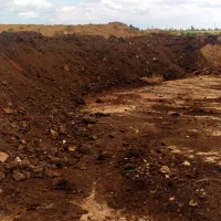 کود گاوی|خدمات باغبانی و درختکاری|کویرات, |دیوار