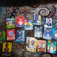 کیمدی همه نوع