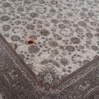 فرش|فرش|تهران, صفا|دیوار