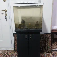 آکواریم با ماهی و لوزام سنک و خاک