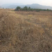 یک عددزمین باقیمت خوب بفروش میرسد|فروش دفتر صنعتی، کشاورزی، تجاری|فاضل آباد, |دیوار