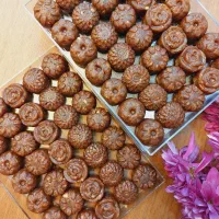 سفارش حلوا مجلسی و رنگینک  برای دور همی و مجالس