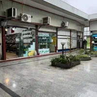 مغازه در سازی