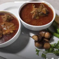 سفارش انواع غذا های خونگی با بهترین مواد مصرفی