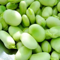 باقلا باکله و نخود شیرین نخودفرنگی