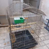 قفس آهنی با لوازم|لوازم جانبی حیوانات|مشهد, نیروی هوایی|دیوار