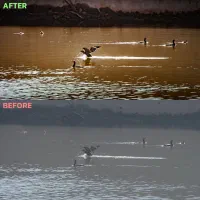 ادیت حرفهای عکس با لایتروم