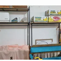 رگال و قفسه